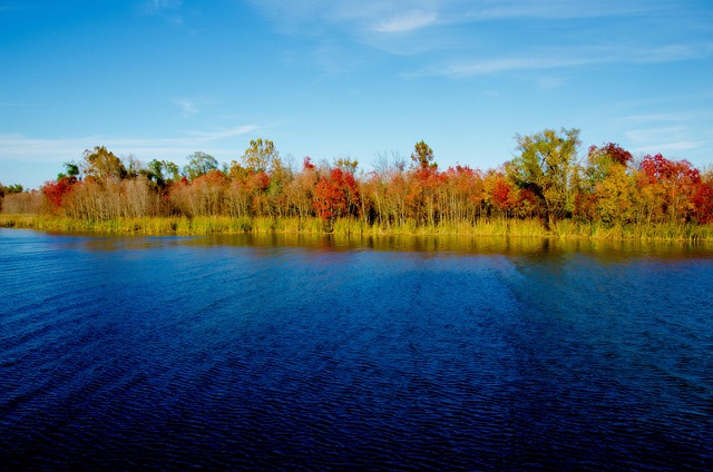 Free Autumn River photo and picture