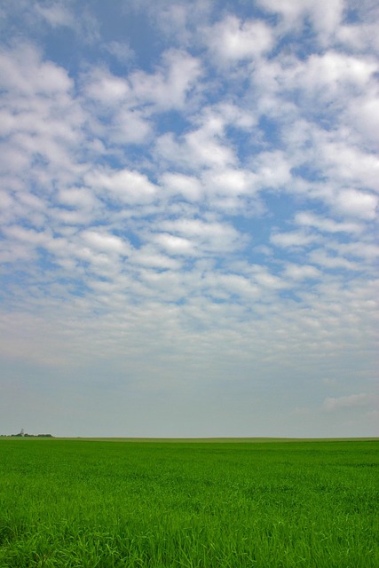 Free Field Horizon photo and picture