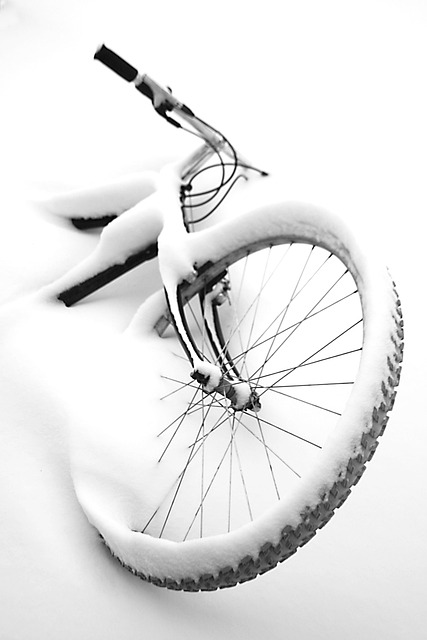 Free Winter Bike photo and picture