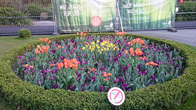 Bloem, De Dierentuin Van Berlijn