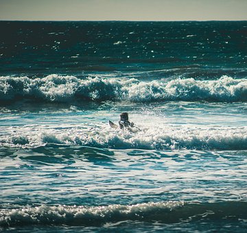 Free Surf Ocean photo and picture