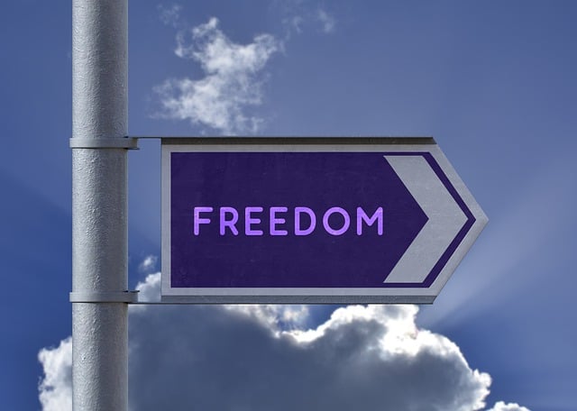 Explore 3,030+ Free Freedom Illustrations: Download Now - Pixabay