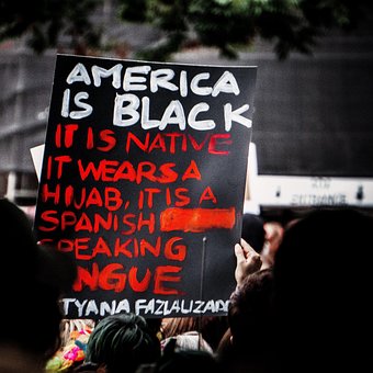 Free Sign Protest photo and picture