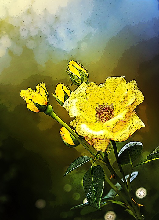 Download Roses, Yellow Roses, Flowers. Royalty-Free Stock Illustration ...