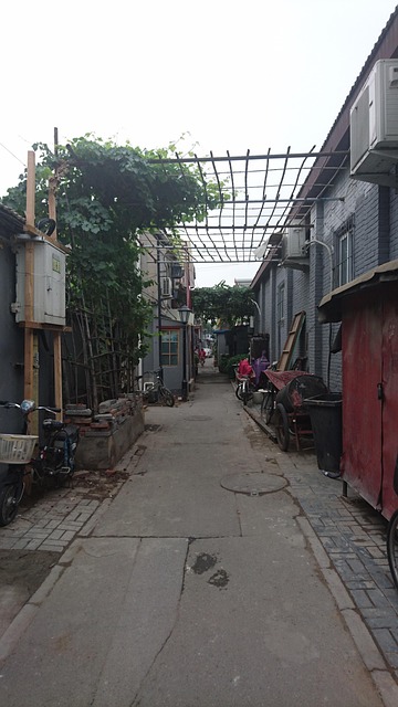 Free Beijing China photo and picture