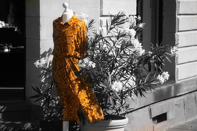 Free Mannequin Dress photo and picture