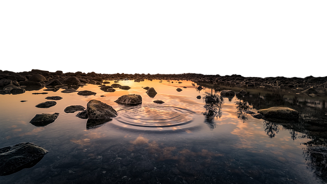 Download free HD stock image of River Rocks Free river rocks estuary illustration