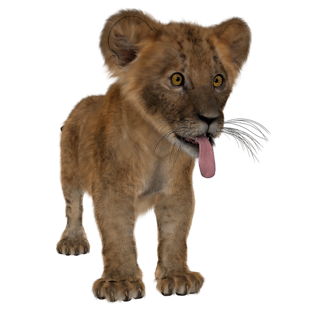 Lion Cub Animal Young Free Image On Pixabay