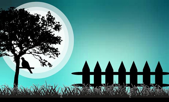 Free Bird Tree photo and picture