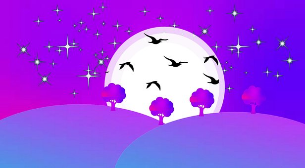 Free Nature Fly photo and picture