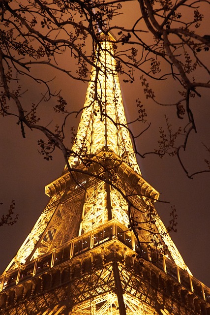 Free Eiffel Tourism photo and picture