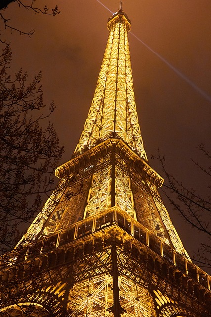 Free Eiffel Tourism photo and picture