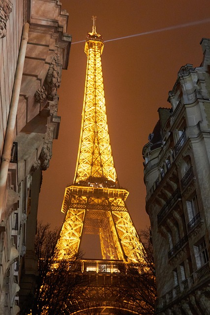 Free Eiffel Tourism photo and picture