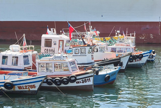 Free Ship Port photo and picture