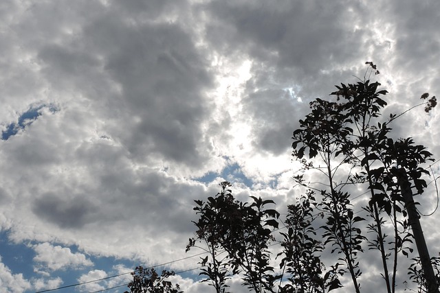 Free Sky Landscape photo and picture