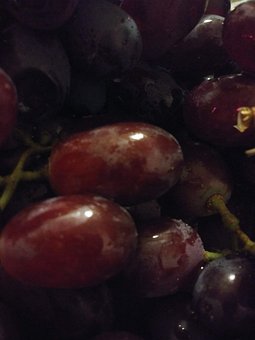 Free Grapes Fruit photo and picture