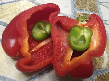Free Pepper Red Pepper photo and picture