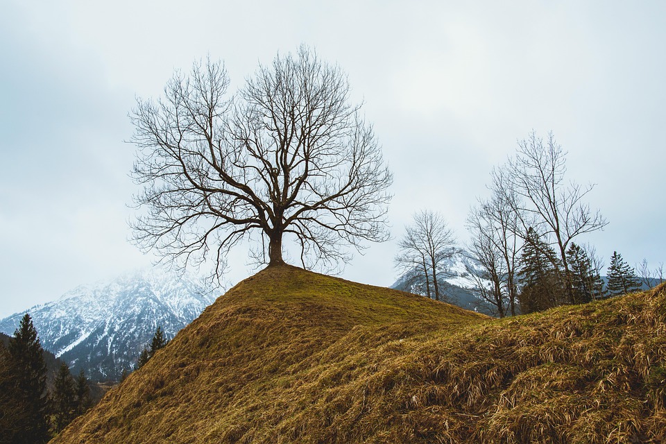 landscape-5581988_960_720.jpg