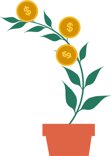 Dinheiro, Dólares, Planta, Moedas