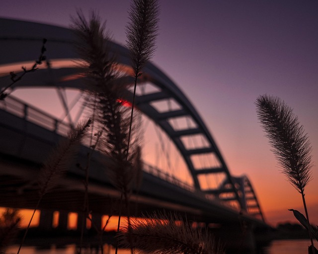 Free Bridge Reed photo and picture