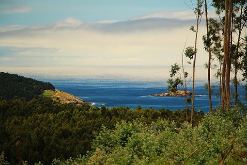Bjerg, Hav, Skyer, Himmel, Tåge, Skov