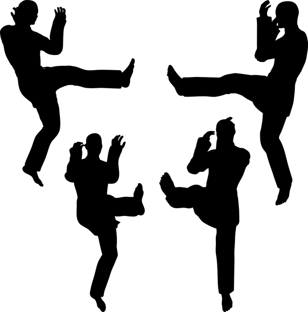 Mennesker, Silhuett, Forsvar, Slag