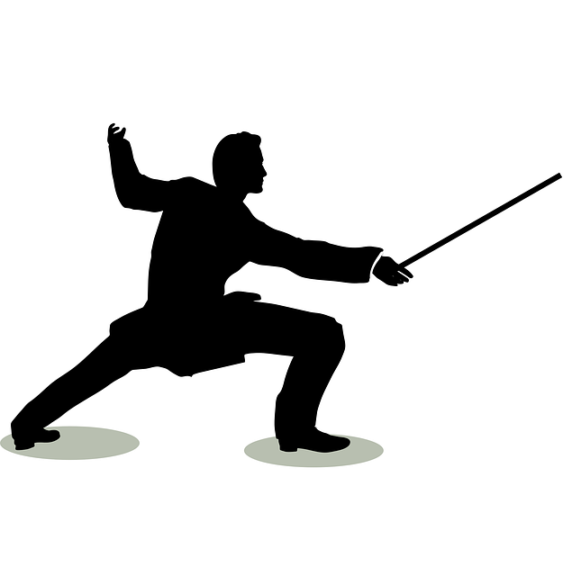Free people silhouette defense vector