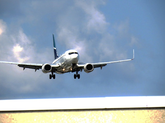 Free West Jet photo and picture