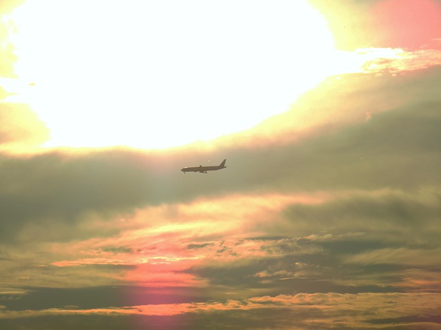 Free Sunset Plane Landing photo and picture