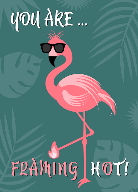 Free Flamingo Bird vector and picture