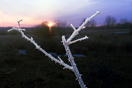 Free Nature Winter photo and picture