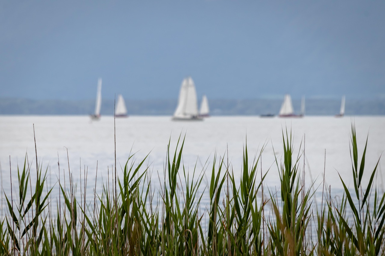 https://cdn.pixabay.com/photo/2020/09/20/00/02/sailing-boats-5585743_1280.jpg