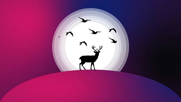 Free Deer Bird photo and picture