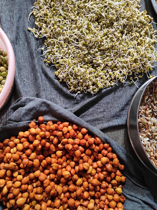 Sprouts Vegan Microgreens Free photo on Pixabay