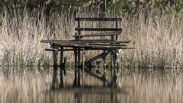 Free Boardwalk Boards photo and picture
