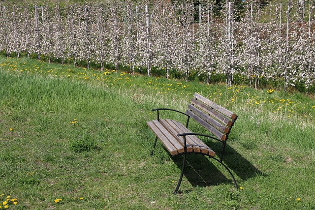Free Spring Bank photo and picture