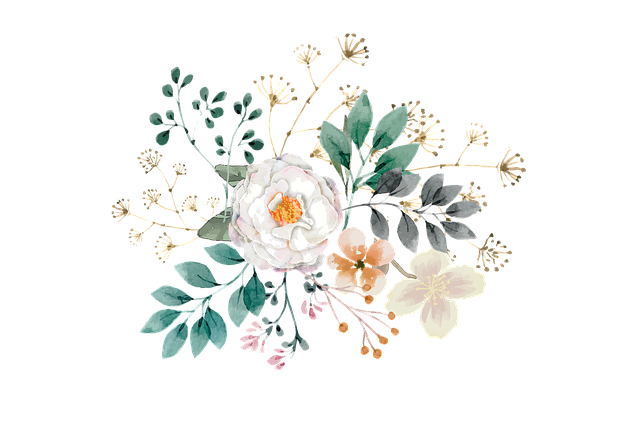 Free flower daisy leaves illustration