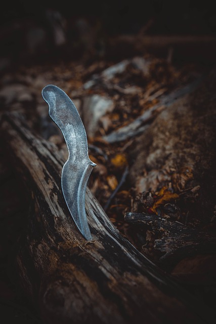 Free Karambit Knife photo and picture