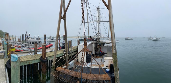 Free Fishing Harbor photo and picture