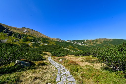 Free Mountains Trail photo and picture