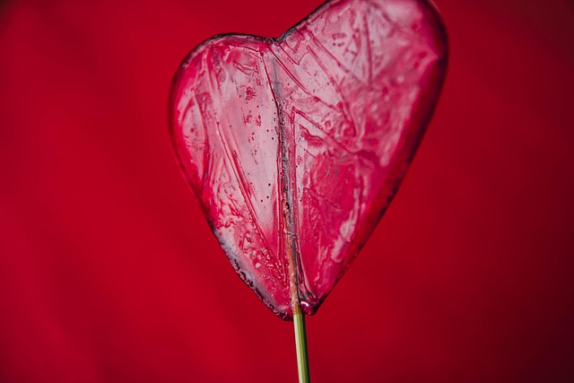 Free Candy Lollipop photo and picture