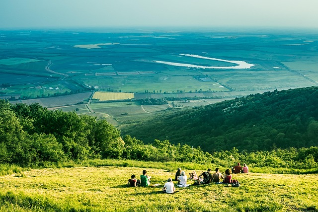 Free Grape Tokaj photo and picture