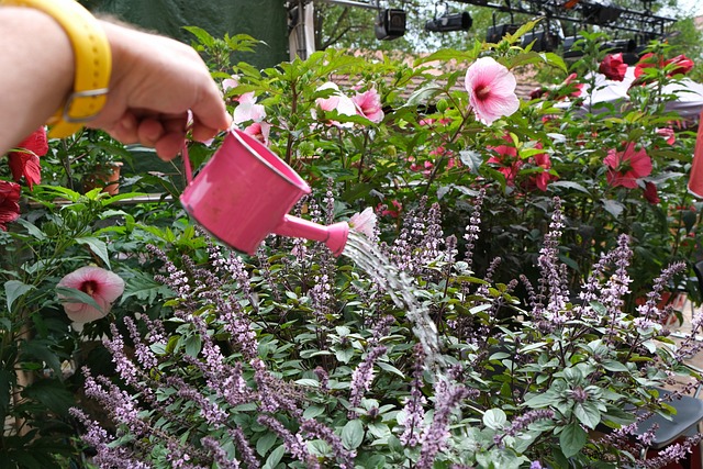 Free To Water Flower photo and picture