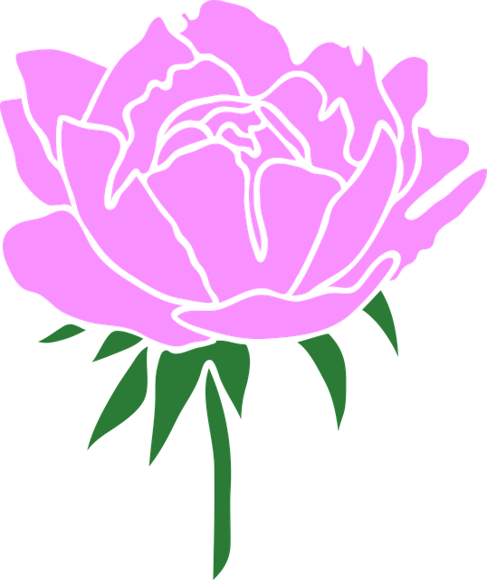 Bujor, Primăvară, Floare, A Inflori