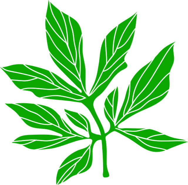 Plantelor, Frunza Verde, Frunza De Bujor