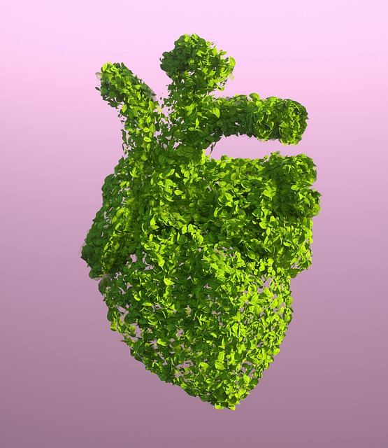 Free leaves heart sustainability illustration