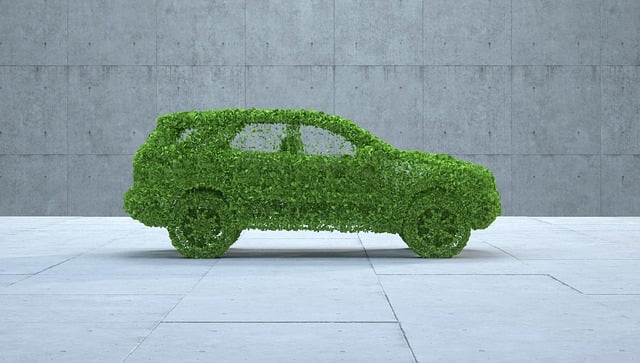 Free leaves car sustainable car illustration