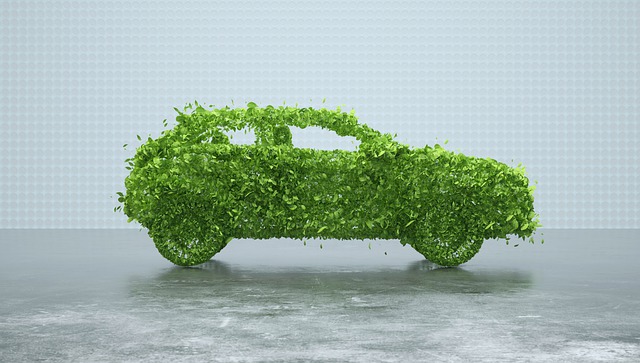 Free leaves car sustainable car illustration