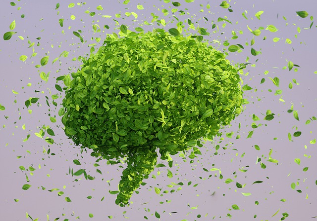 Free brain leaves sustainability illustration