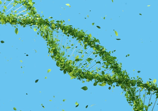 Free dna double helix sustainability illustration